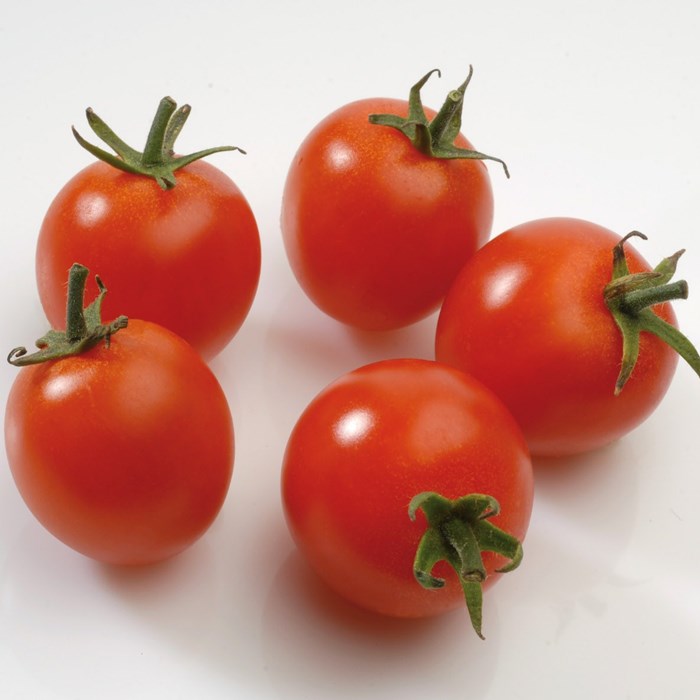 Tomato 'Super Sweet F1_LOW.jpg
