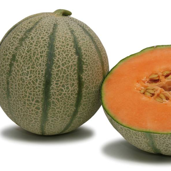 Melon Galia Diva Grafted melon-galia-diva-grafted