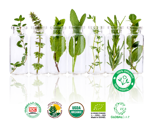 Photo Tubes VR 02 With Stamps