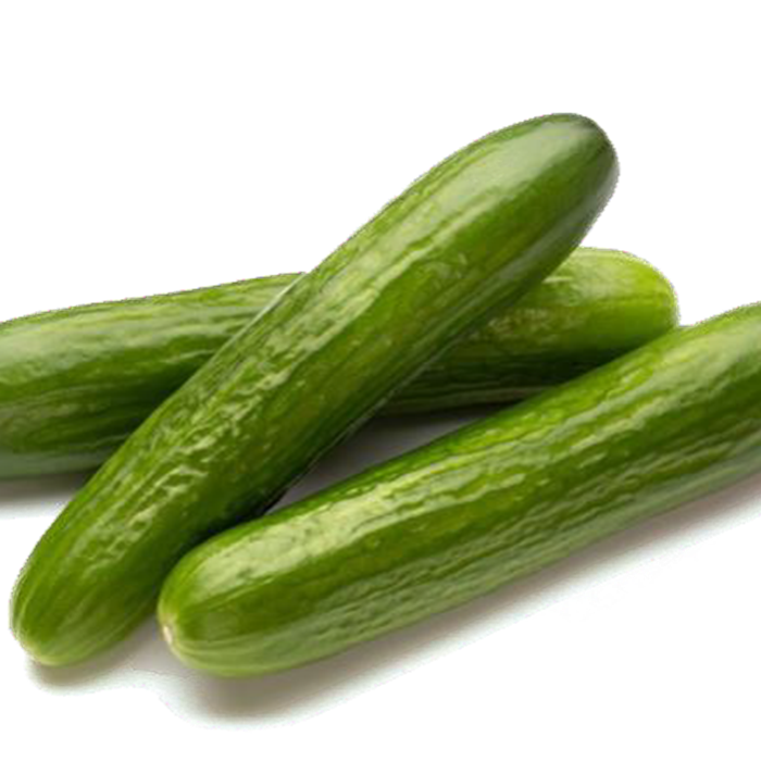 Cucumber Isidro