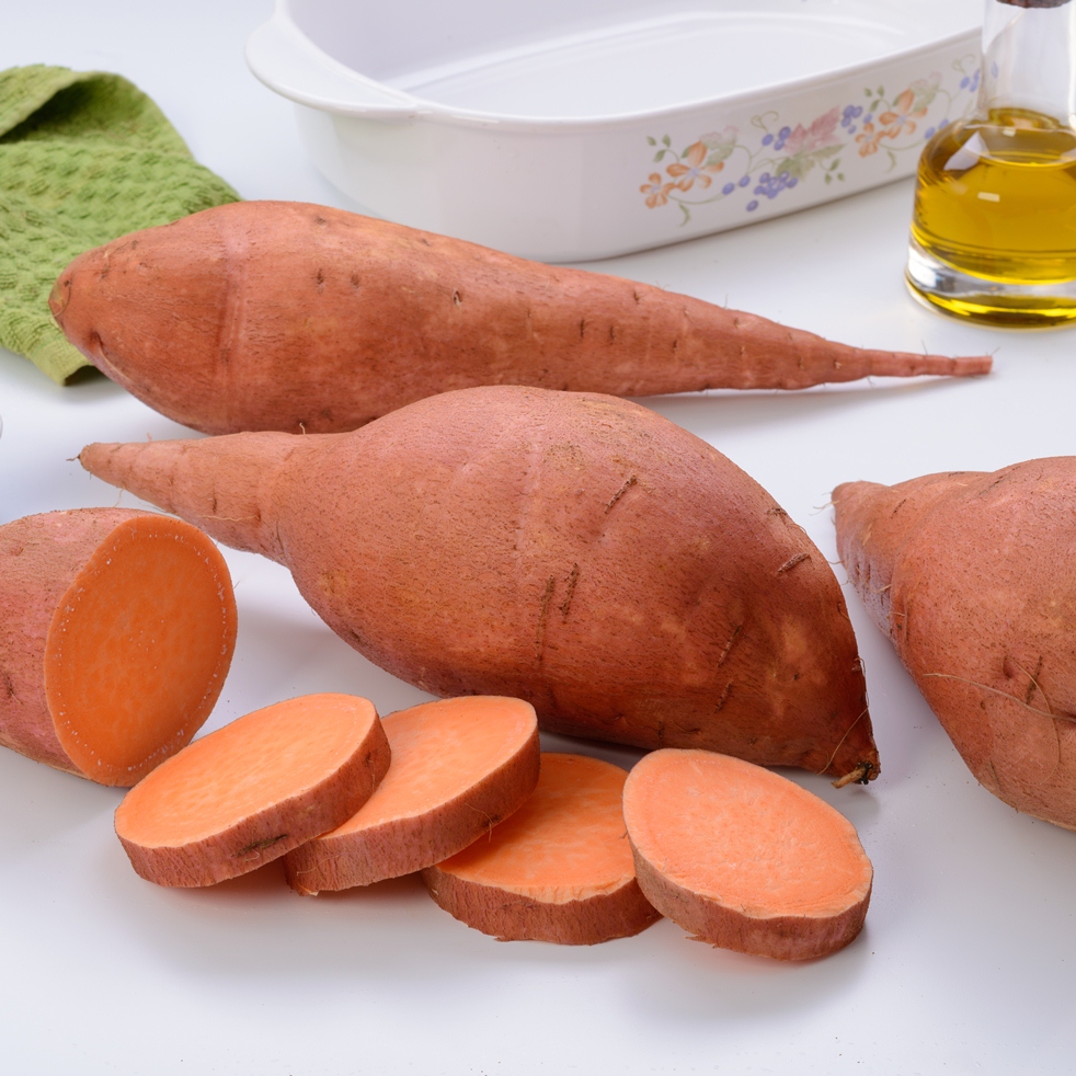Ipomoea Batatas